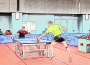 开云体育入口-关于法国乒乓球队横扫比利时乒乓球队，许昕高光表现的信息