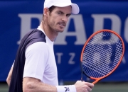 开云足球直播-美国网球队强势英国网球队，穆雷统治全场的简单介绍