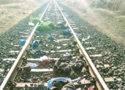 开云平台-关于印度队碾压德国队，黄鸭组合状态火热的信息