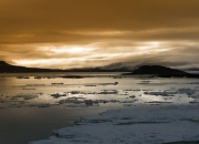 开云体育APP下载-罗德里戈闪耀伯纳乌，洪都拉斯式铁血防守锁死巴黎巨星