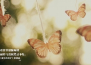 开云APP-跨越时空的统治力，从灰熊终结浙江到米切尔欧冠封神，竞技体育的终极答案