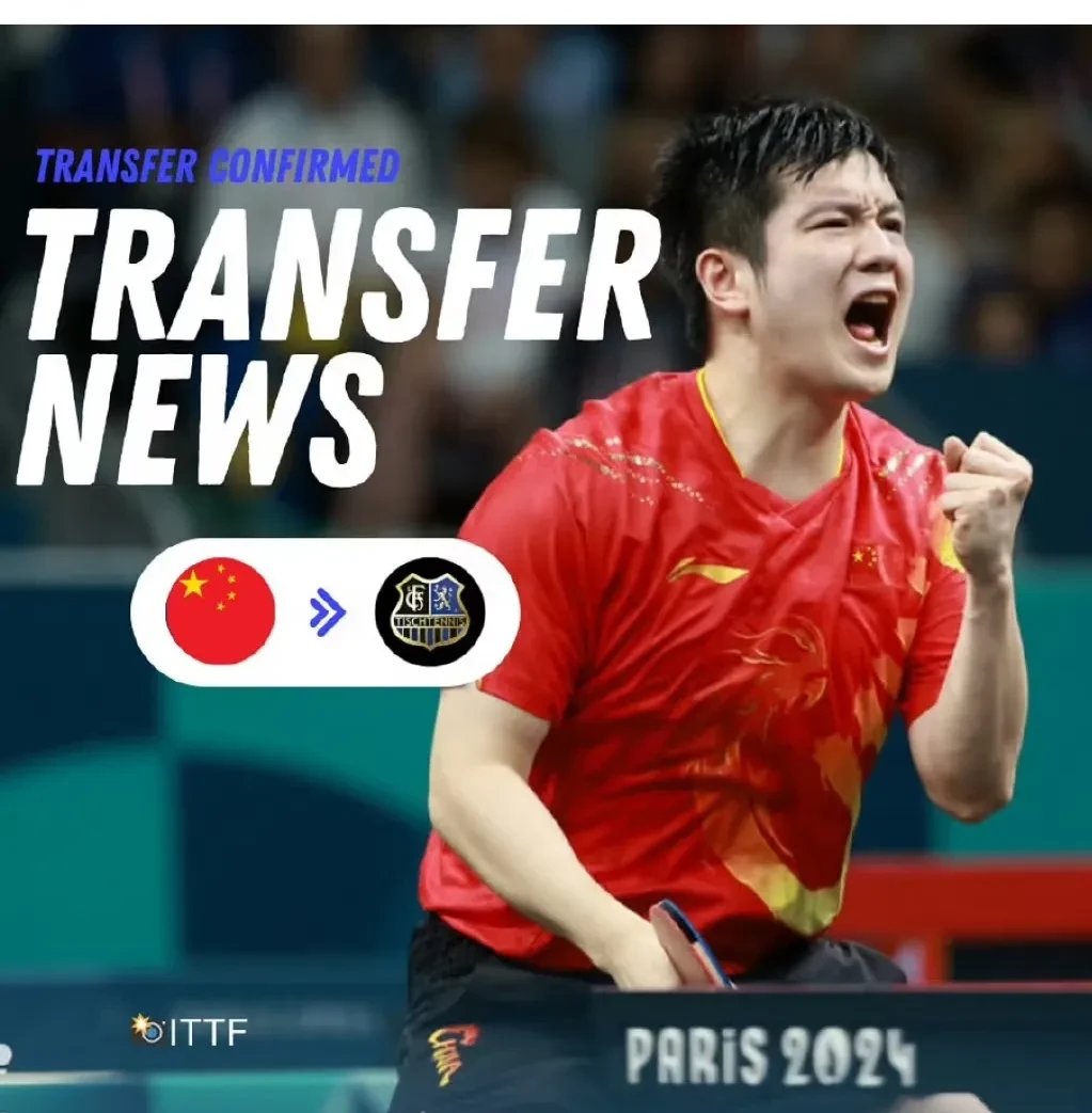 比利时乒乓球队碾压波兰乒乓球队，樊振东惊艳世界的简单介绍