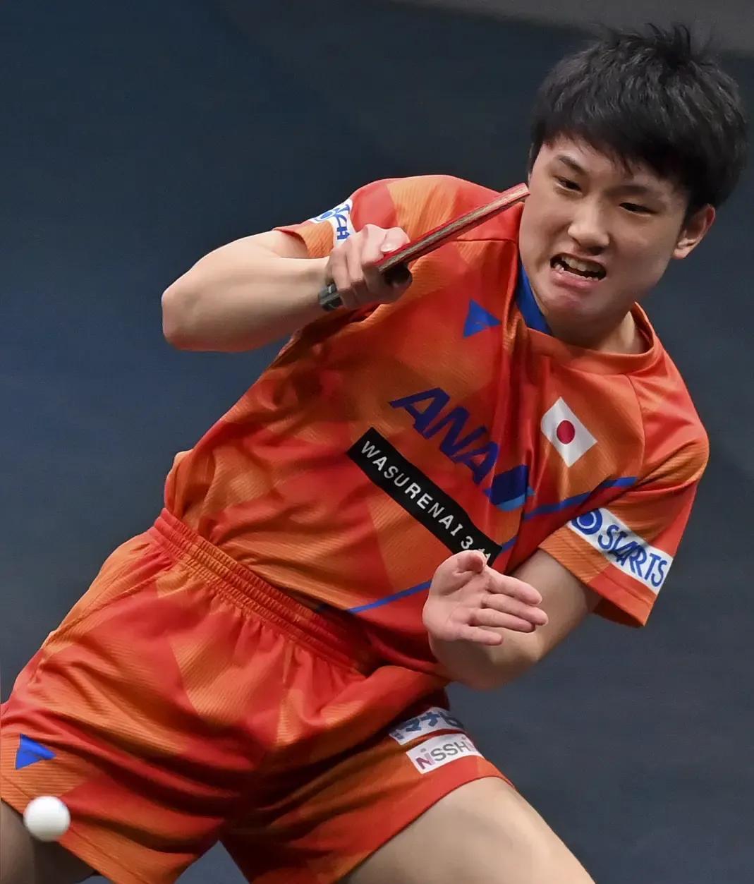 包含瑞典队完胜德国队,张本智和高光表现的词条 包含瑞典队完胜德国队,张本智和高光表现的词条