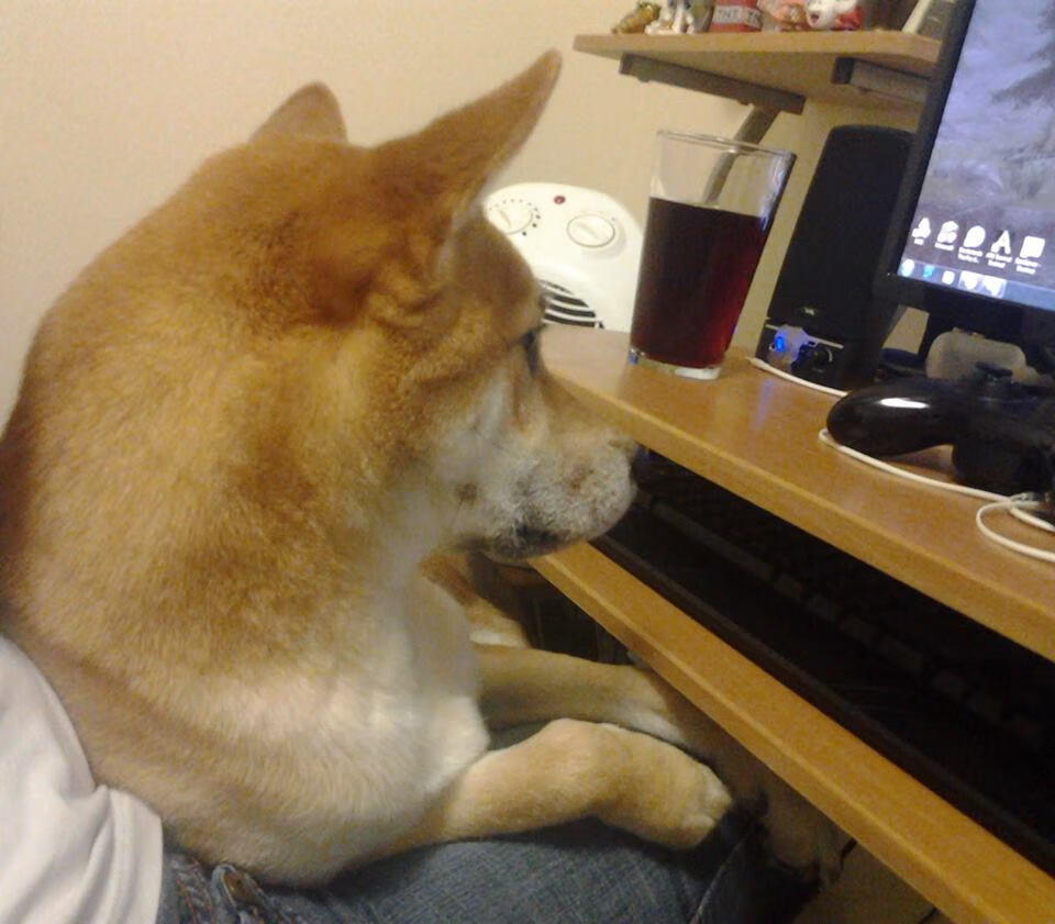 年度焦点之战之夜,切特连续得分拉开差距,奠定胜局