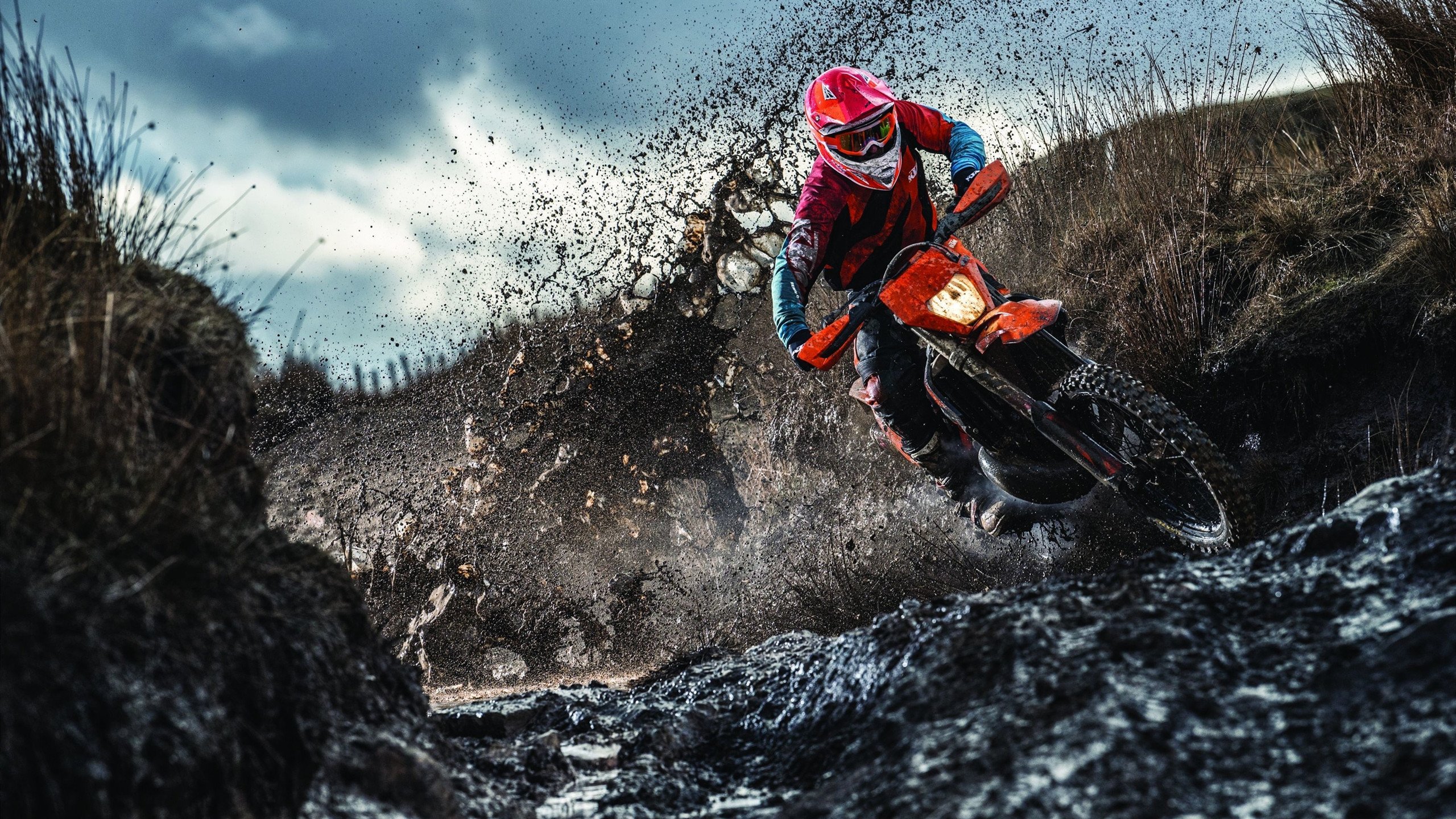 巨熊咆哮!武切维奇轰穿辽宁铁壁,灰熊生死战逆天改命